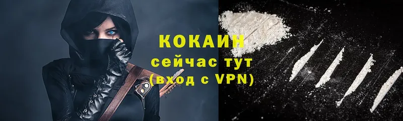 Cocaine FishScale  купить наркотики цена  Кондопога 